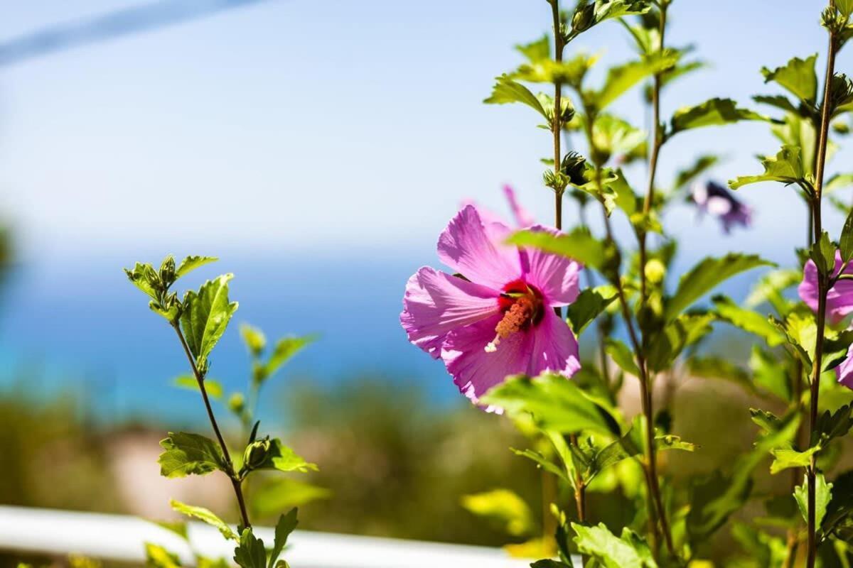 Aigli Summer Getaway - Seaview Lux Retreat Verga Kalamata Exterior photo